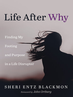 cover image of Life After Why